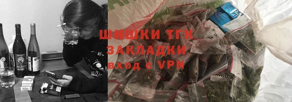 шишки Дмитриев