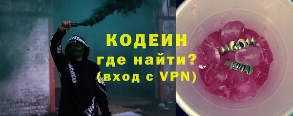 шишки Дмитриев