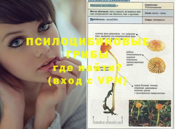 mdpv Чегем