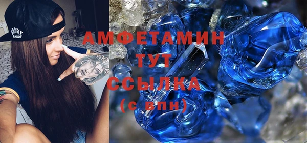 шишки Дмитриев