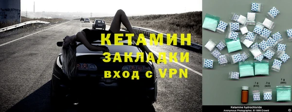шишки Дмитриев