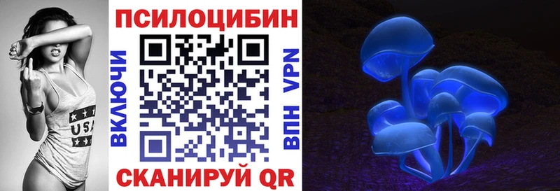 Галлюциногенные грибы Psilocybe  Владикавказ 