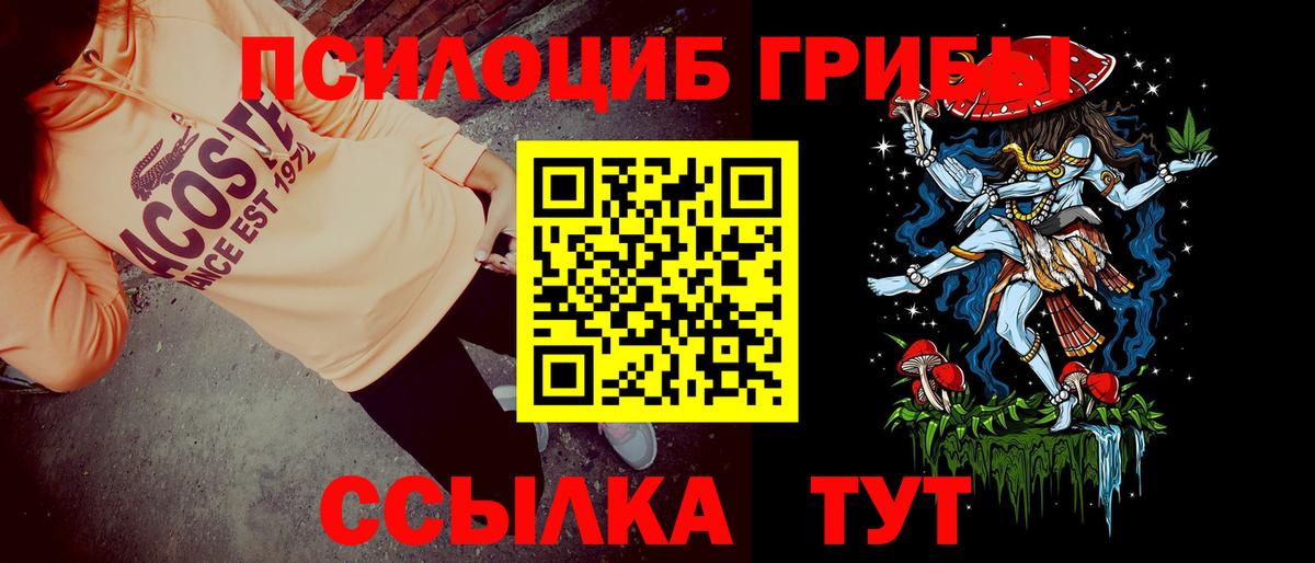 Галлюциногенные грибы Psilocybe  Владикавказ 