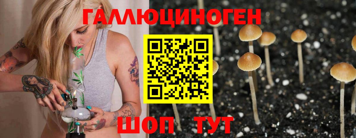 Галлюциногенные грибы Magic Shrooms Владикавказ