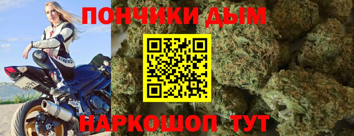 Бошки марихуана конопля Владикавказ